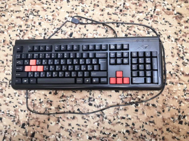 ����������. ����