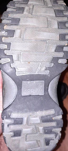 ������. 31 ����