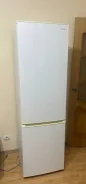 ������������ ������������. ����