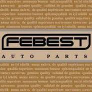 ����� ������� 0320-RAF Febest 0320RAF ����
