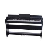 �������� ������� Pierre Cesar A13-BK ����
