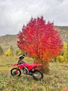 Honda CRF 450RX. 450����. ��., ��������, ��� ���, ������ �� �� ����