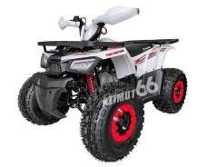 Tao Motor
