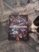 ����� overwatch ��� ���� ����