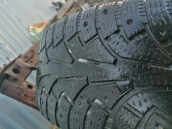 Continental. ������, ��� ����, 2014 ���, �/�, ����� 20 % ����