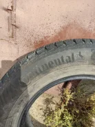 Continental Contact. ������, ����������, 2019 ���, �/�, ����� 5 % ����
