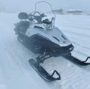 Yamaha Viking Professional II. ��������, ���� ���, ��� ������� ����