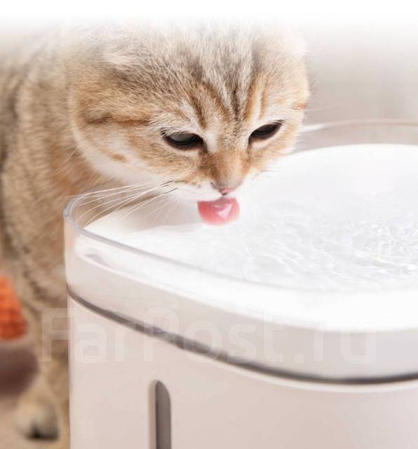 Умная автоматическая поилка для животных Xiaomi Smart Pet, собак, кошек ...