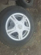 Blows. x14" ����