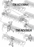 ������� ��������� ������ Toyota Camry ACV3#/MCV3# 2001-2006 TM-ACV36RH Febest Tmacv36RH TMACV36RH ����