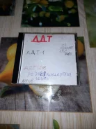 CD. ����