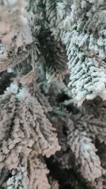 ���� �������������. ����