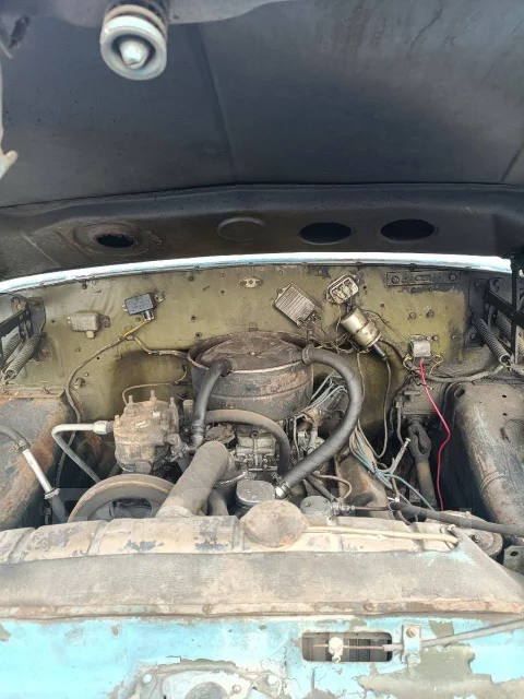 ���, 1994 ����