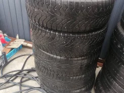 Nordman 4. ������, ��� �����, 2021 ���, �/�, ����� 50 %. �������� ������ ����
