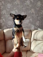 ����� �����. ����