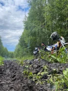 Kayo T2 250 MX. ��������, ���������, ������ �� �� ����