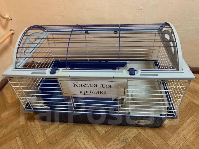 Домашняя клетка для кролика Ferplast, кроликов, в наличии. Цена: 5 000 ...