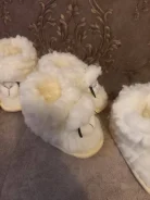 �����. 24 ����