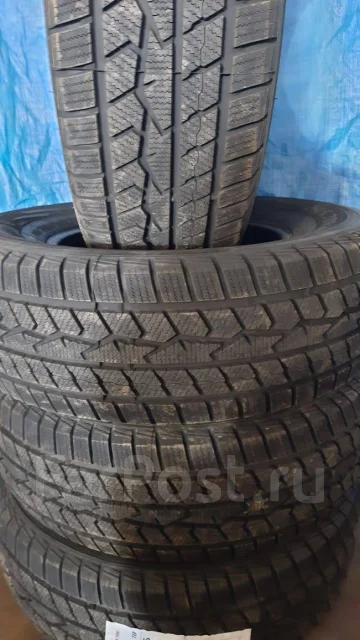 Massimo. ������, ��� �����, 2023 ���, ����� ����