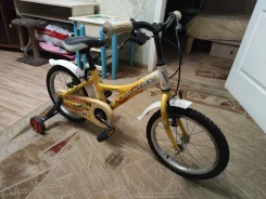 Wheeler ����