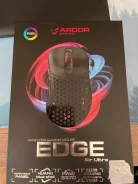 ���� �������. ����