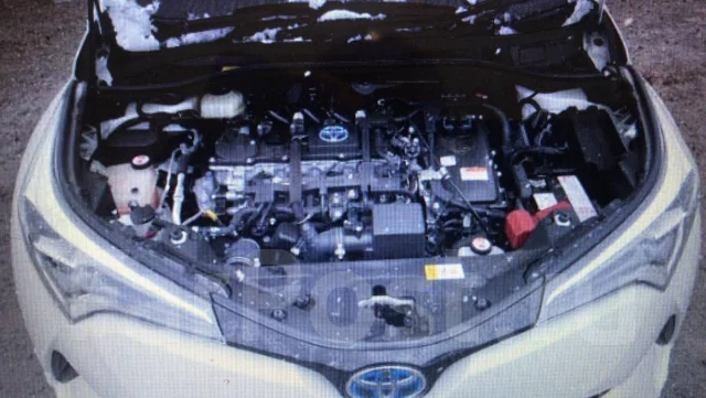 Toyota C-HR. ZYX10, 2ZRFXE ����