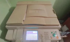���������. ����