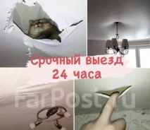 �������� �������. ����