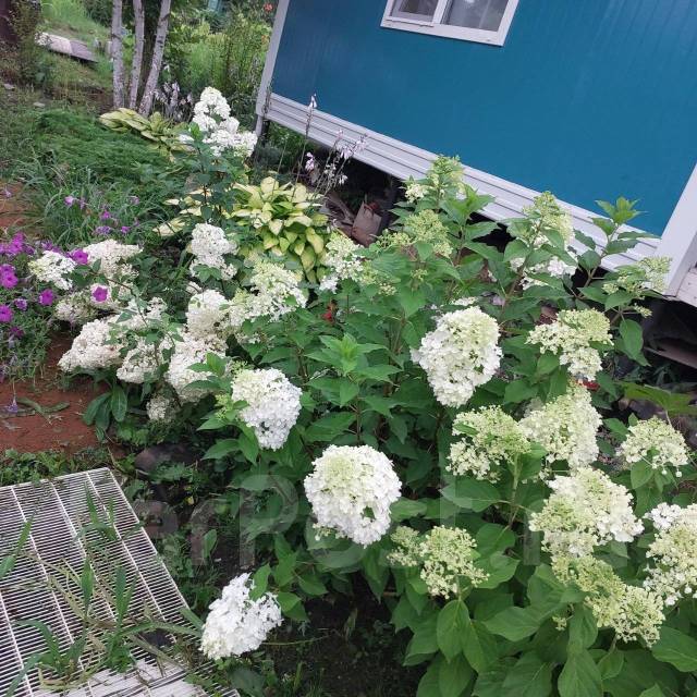 Продам ухоженную дачу в пригороде Большого камня, большой камень ...