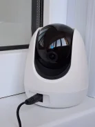 IP-������. ����