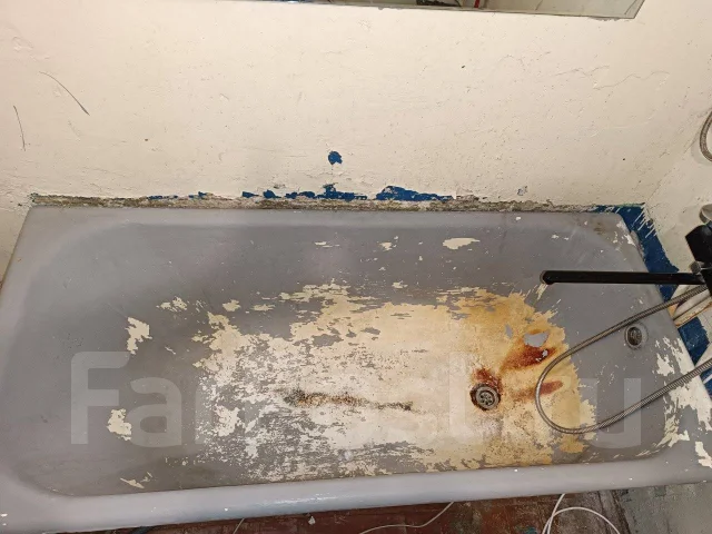 ����������� ����: ����