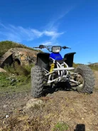 Yamaha YFS 200. ��������, ��, �� ����