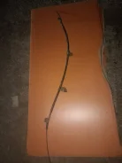 ������ ������� 125478 ����