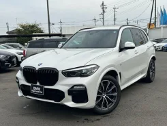 BMW X5. �������, 4wd, 3.0 (265��.�.), ������, 25 000����. ��, �/�. ��� ����� �� ������������ ����