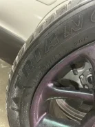 Evolve. x17", 5x100 ����