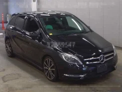 Mercedes-Benz B-Class. WDD246242, M 270 DE16 ����