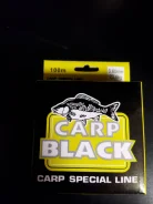 ����� 100� 0,20 CARP BLACK ��� ����