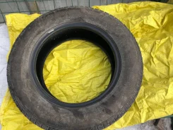 Streamstone. �����������, 2022 ���, �/�, ����� 5 % ����
