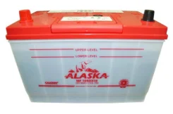 Alaska. 90��.�., D31, 750��., ��������, ������������ ����� ����