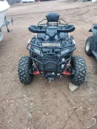 Grizzly. ��������, ��, �� ����