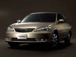 ������ ����� �������� ������ 2002-2006 2002-2006 ����