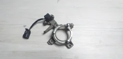 ����������. ����