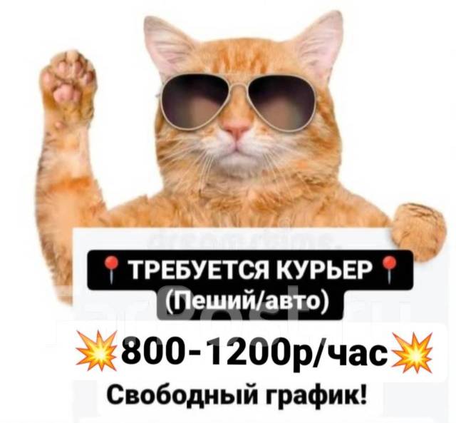 Курьер (16+, ОТ 800Р/ЧАС, ПОДРАБОТКА, ЕЖЕДНЕВНАЯ ОПЛАТА), работа в ООО ...