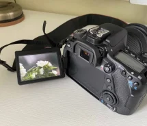 Canon EOS 80D. ���: ��� ���� ����