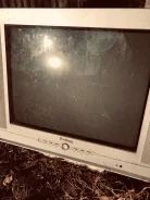 Elenberg ����