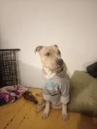������������ ��������������� ������. ����
