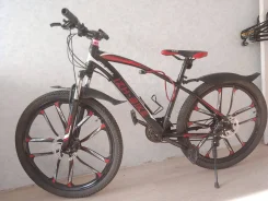 Izh-Bike ����