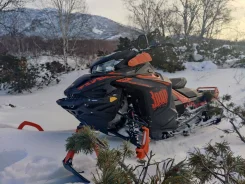 BRP Lynx Boondocker DS. ��������, ��, �� ����