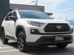 Toyota RAV4. ��������, 4wd, 2.0 (171��.�.), ������, 9 000����. ��, �/�. ��� ����� �� ������������ ����