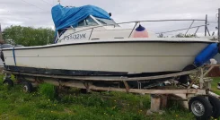 Blueshark. 1993 ���, ����� 7,4��., ��������� ���������, 300��.�., ������ ����